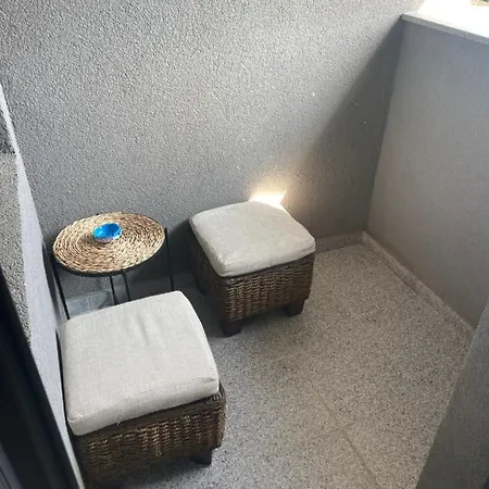 Teddy Велико Търново