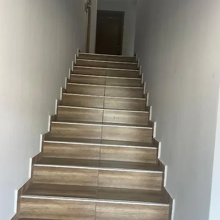 Teddy * Veliko Tarnovo