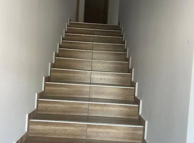 Teddy * Veliko Tarnovo